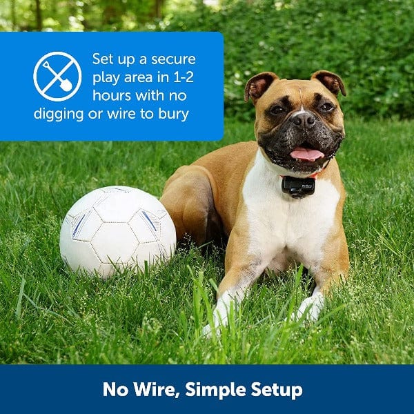 PetSafe Wireless Pet Containment System for Yard Safety