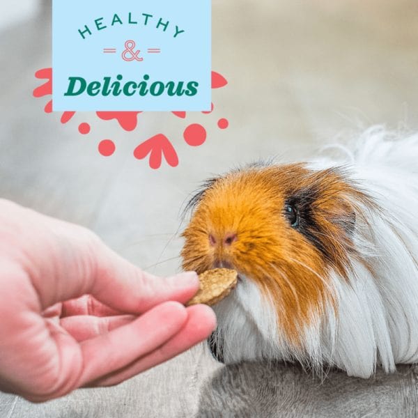 Oxbow's Premium Natural Science Supplement for Pet Urinary Health
