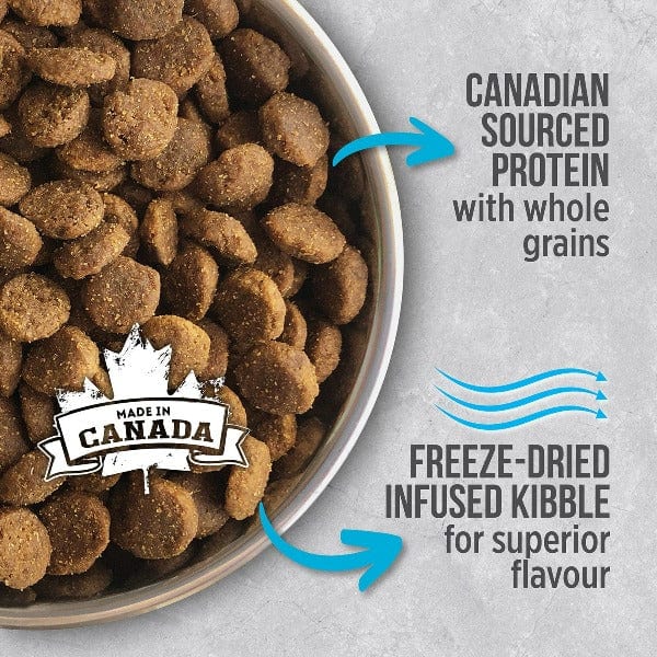 Nutrience Infusion Premium Quality Dry Dog Food for Healthy Adult Dogs with Ocean Fish Recipe