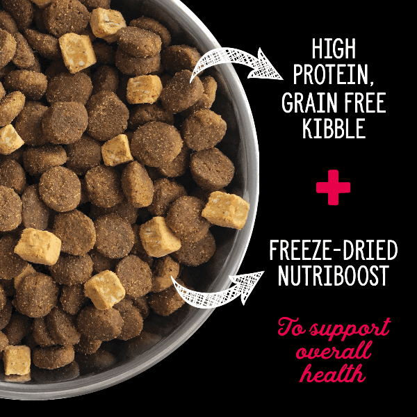 Nutrience SubZero Prairie Red Premium High - Protein Dry Dog Food