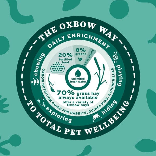 Oxbow Premium Alfalfa Hay for Small Pets, High in Fiber and Protein