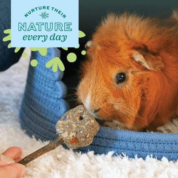 Oxbow Enriched Life Timothy Hay Flowers - Pet Chew and Enrichment Toy