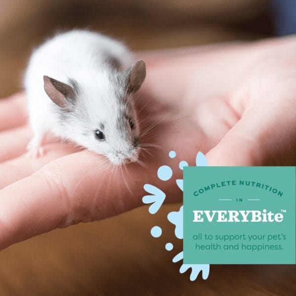 Oxbow High - Quality Essentials Food for Mice and Young Rats