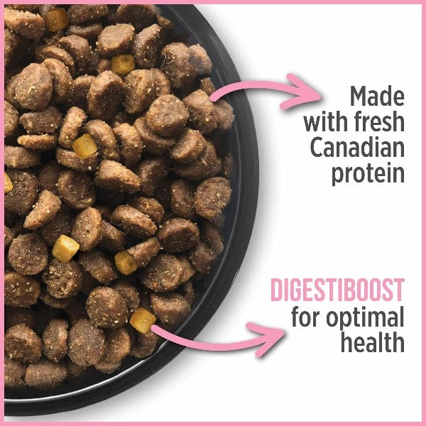 Nutrience Care+ Premium Dry Cat Food for Optimal Urinary Health