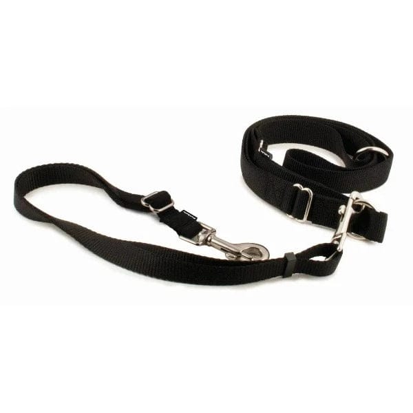 PetSafe Hands-Free Dog Walking Leash for Ultimate Convenience