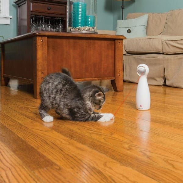 PetSafe Automatic Frolicat Bolt Laser Toy for Cats - Interactive Entertainment for Feline Friends