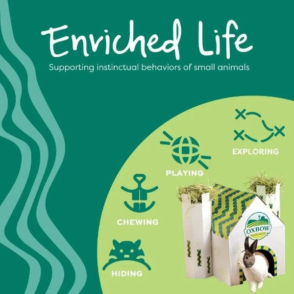 Oxbow Enriched Life - Safe and Fun Hideaway Hive for Small Pets