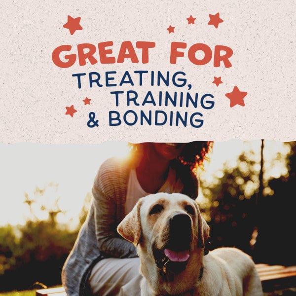 14oz Natural Balance Dog Treats: Crunchy Biscuits with Real Salmon Recipe