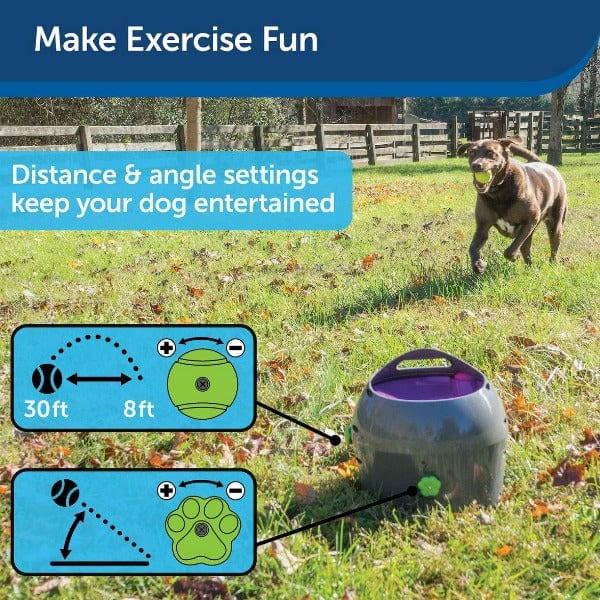 PetSafe Automatic Interactive Dog Ball Launcher for Endless Fetch Fun