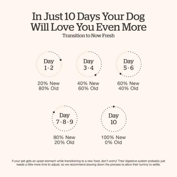 Now Fresh Premium Good Gravy Chicken Recipe Adult Dry Dog Food for Canine Companions