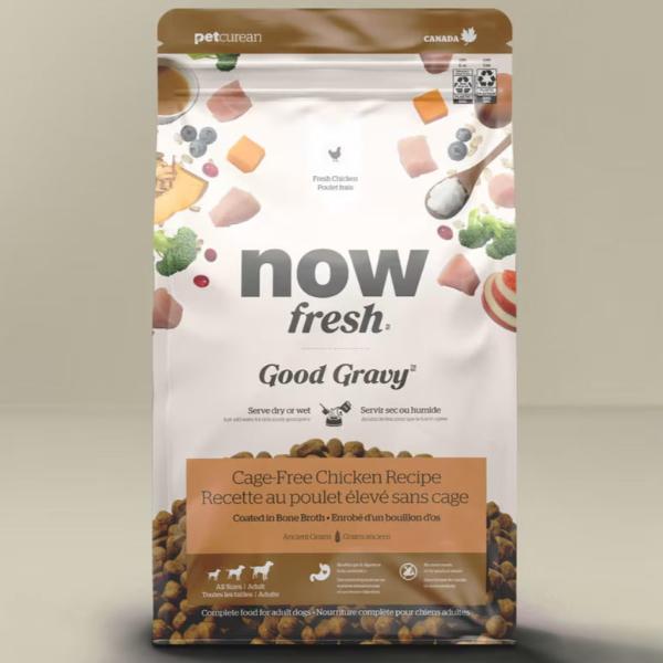 Now Fresh Premium Good Gravy Chicken Recipe Adult Dry Dog Food for Canine Companions