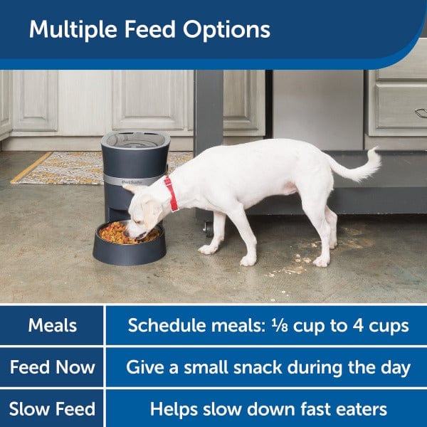 PetSafe 2.0 Advanced Smart Automatic Pet Feeder for Remote Meal Control