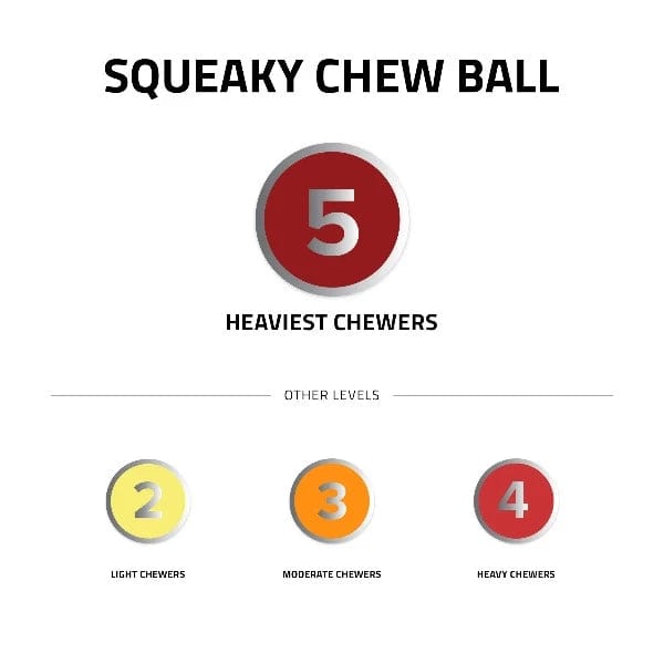 Playology Interactive Squeaky Chew Ball Toy for Dogs