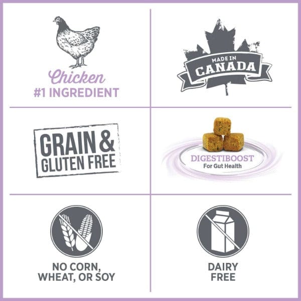 Nutrience Care Plus High - Quality Gluten - Free Dry Dog Food for Weight Management