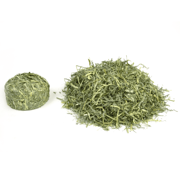 Oxbow All - Natural Compact Western Timothy Harvest Stacks