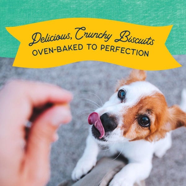 8oz Natural Balance Small Breed Crunchy Biscuits with Real Chicken Recipe