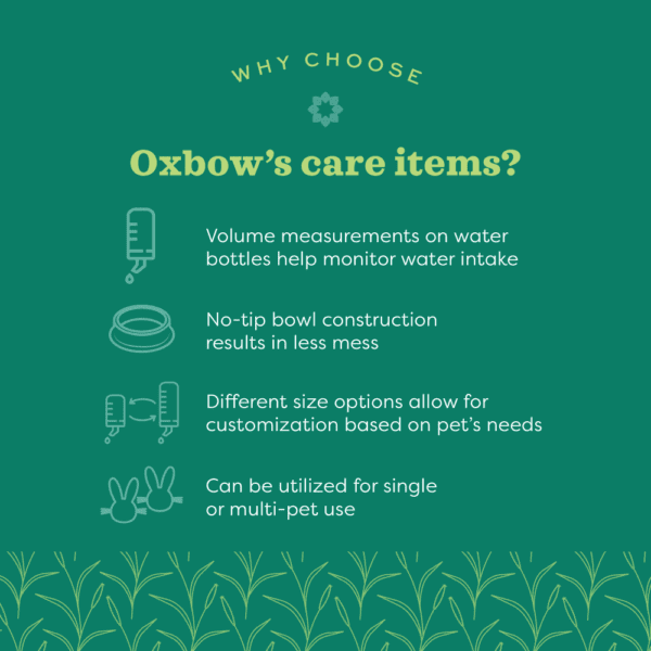 Oxbow Enriched Life - Premium Forage Bowl for Small Pets