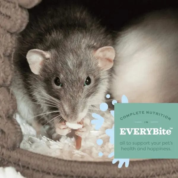 Oxbow Garden Select Adult Rat Pet Food - A Nutritious Blend for Your Furry Friend