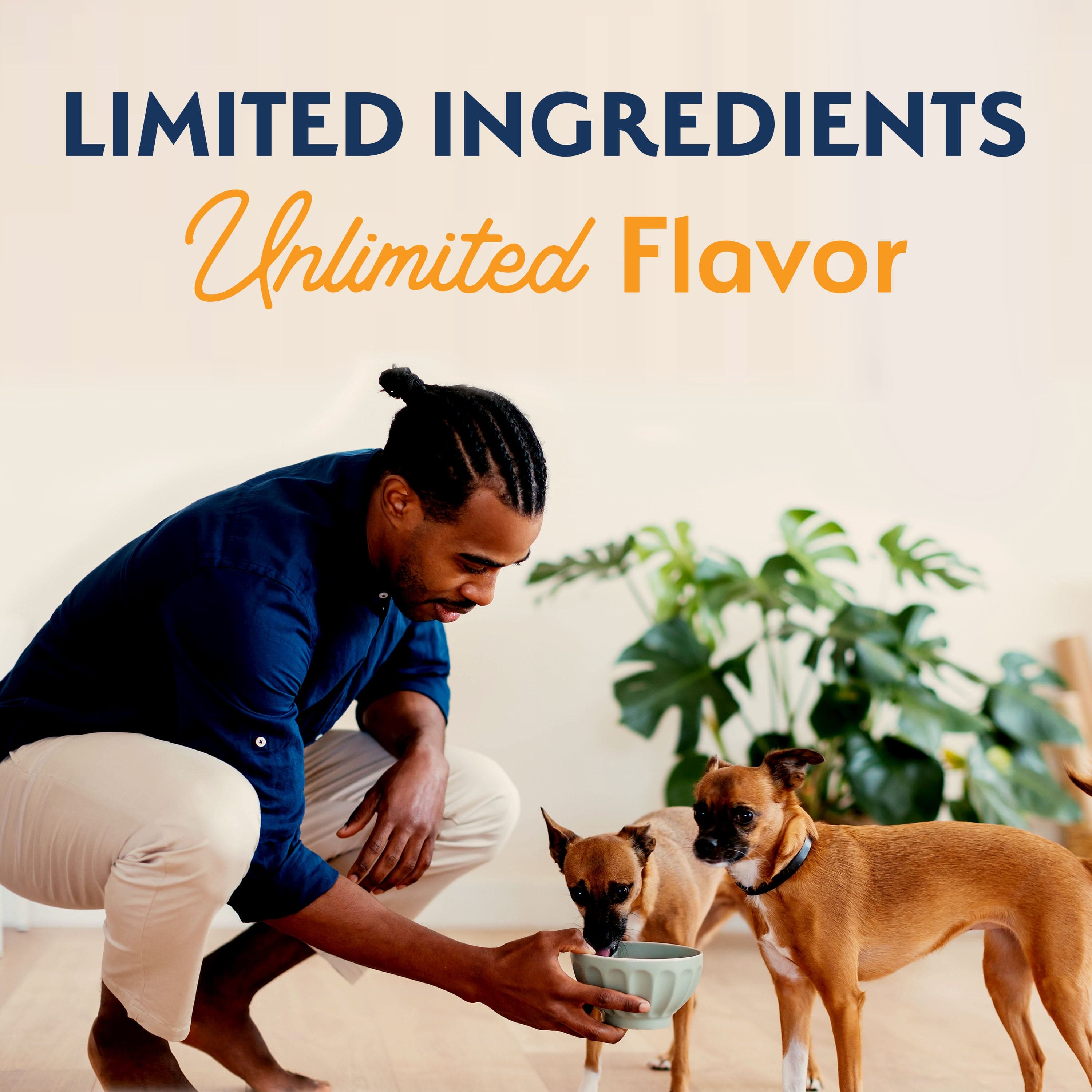 Natural Balance Reserve Grain-Free Dry Dog Food with Duck and Potato for Small Breed Adult Dogs
