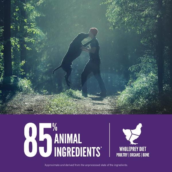Orijen Premium Dry Dog Food for Adult Large Breeds