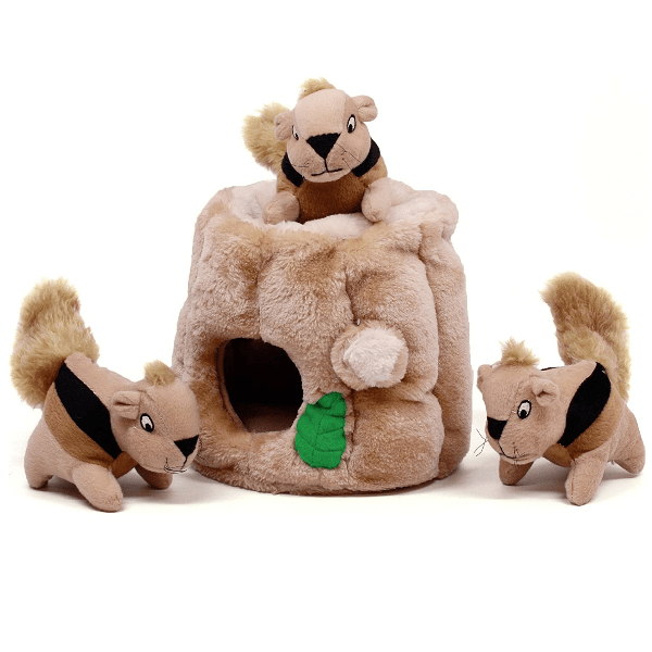 Outward Hound Interactive Plush Dog Toy Puzzle - Hide A Squirrel for Endless Canine Entertainment