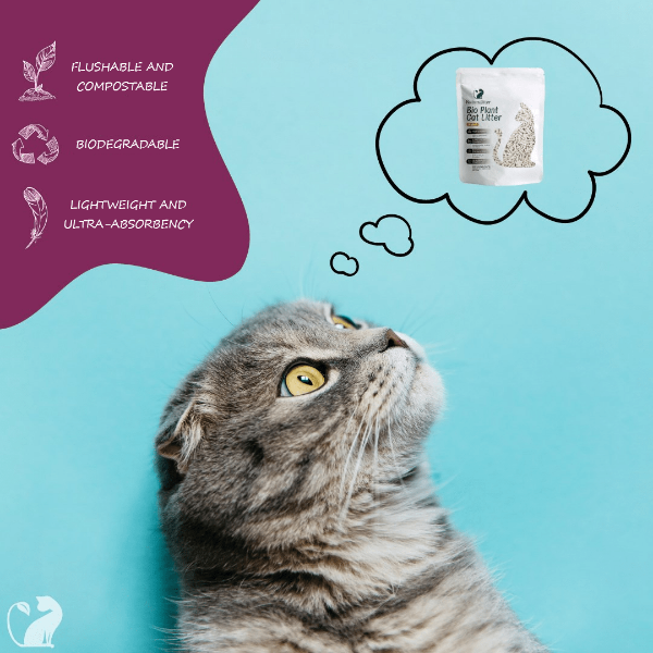 Naturalitter Organic Plant-Based Cat Litter with Lavender Scent