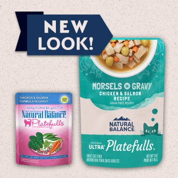 Natural Balance Platefulls Premium Chicken & Omega - rich Salmon Recipe Delectable Morsels in Gravy Cat Food Pouch