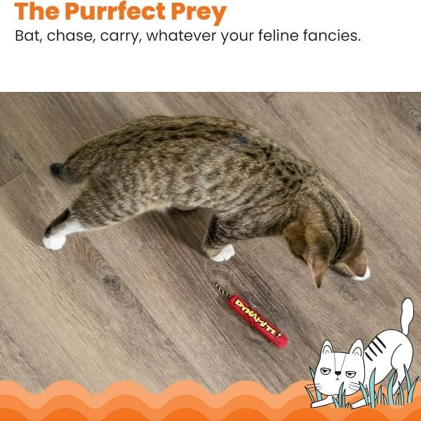 Petstages High - Quality Dynamite - Style Catnip - Filled Cat Toy