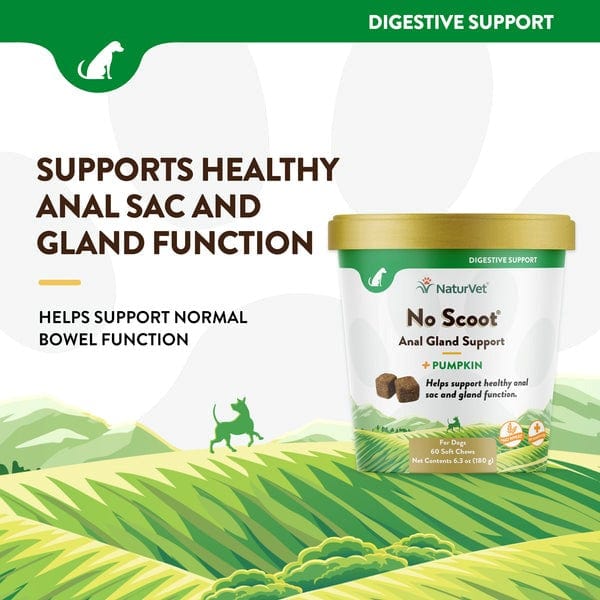 NaturVet All - Natural No Scoot Plus Pumpkin Soft Chews Dietary Supplement For Canine Health