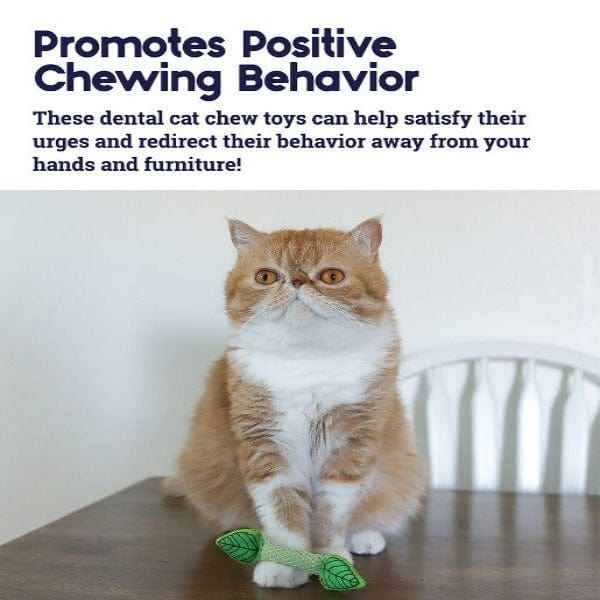 Petstages Natural Mint-Filled Cat Toy for Fresh Breath and Dental Care