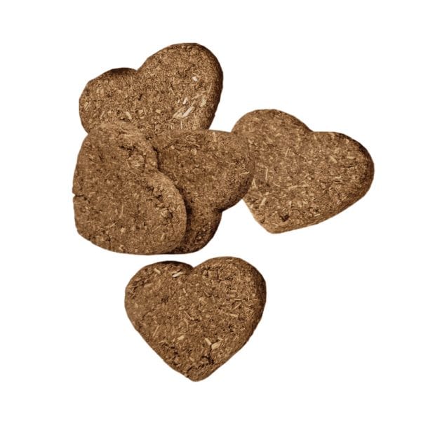 Oxbow's Carrot & Dill Baked Treats - High - Fiber Snack for Small Pets
