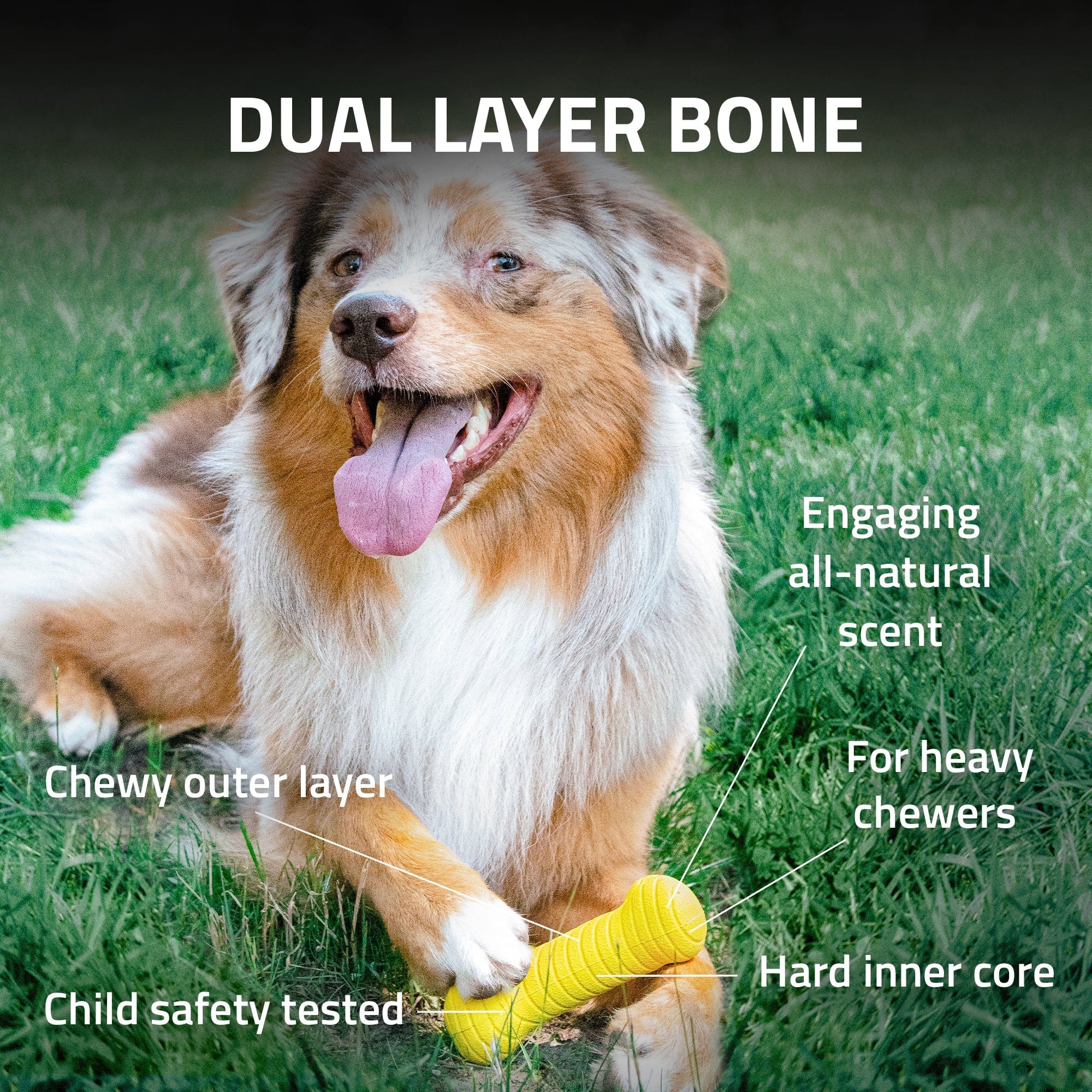 Playology Double - Layered Bone Toy for Dogs with All - Natural Scent