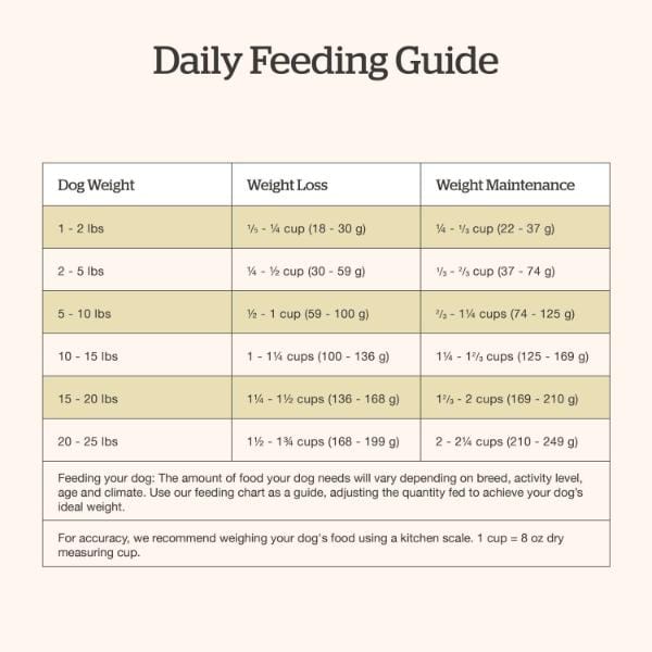 Now Fresh Small Breed Adult Dry Dog Food - Good Gravy Salmon Recipe