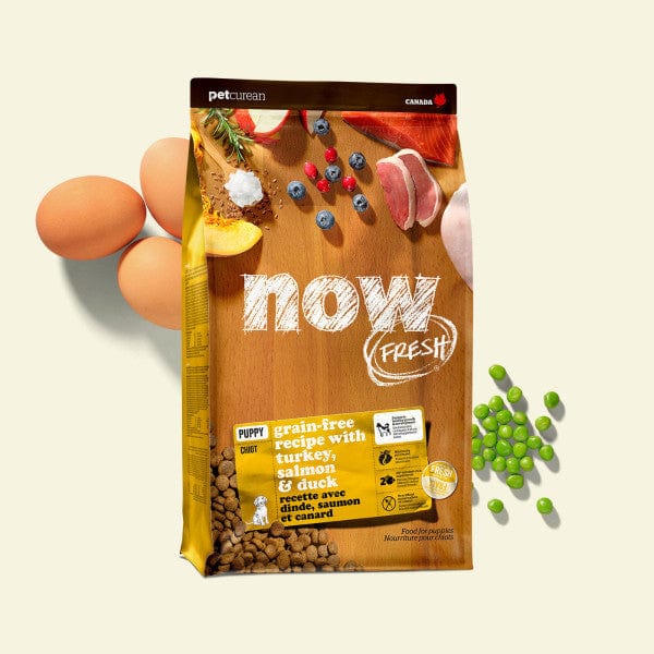 Now Fresh Dry Puppy Food with Turkey, Salmon & Duck, 22 lb