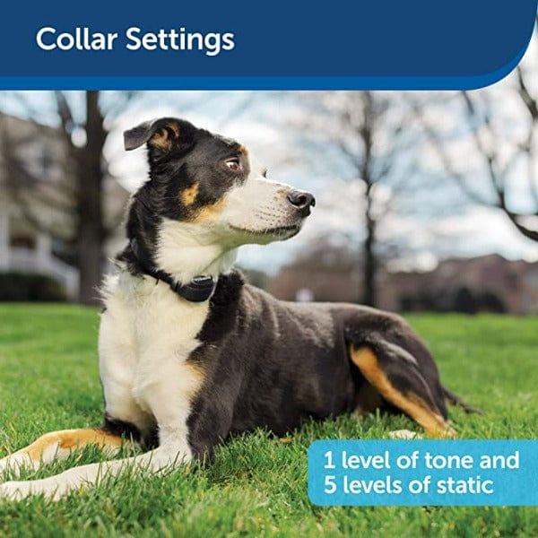Portable PetSafe Compact Wireless Fence System for Yard Pet Containment