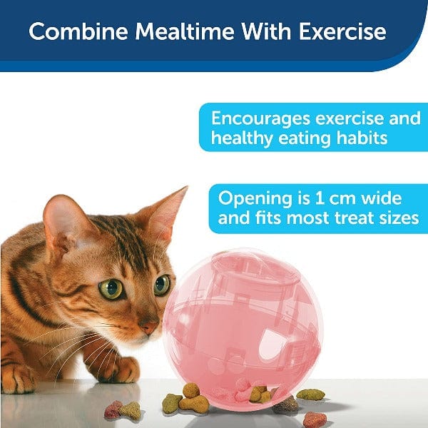 PetSafe Interactive SlimCat Feeder - A Fun Cat Toy for Mealtime Play