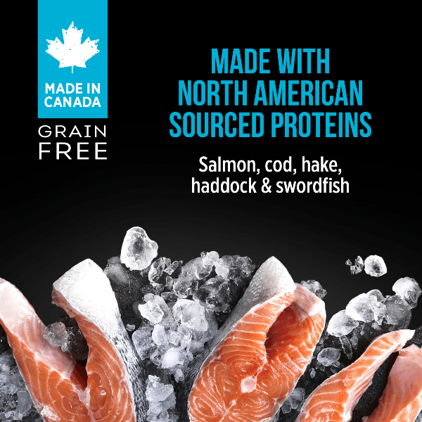 Nutrience SubZero Canadian Pacific Grain - Free Pate Canned Cat Food with Fresh Fish