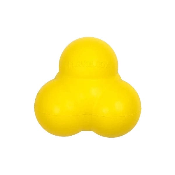 Playology Interactive Squeaky Bouncing Ball for Dogs