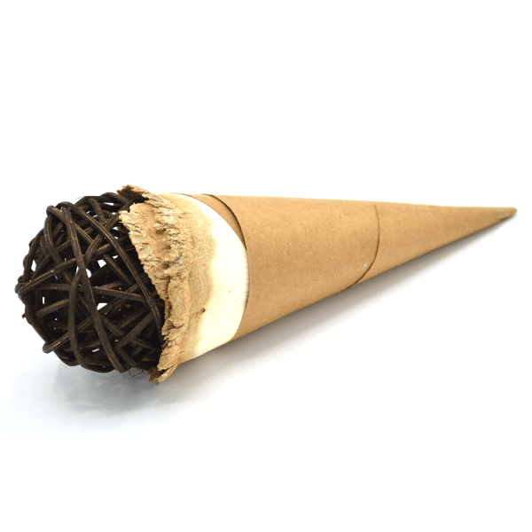 Oxbow Enriched Life - Festive Celebration Cone for Pets