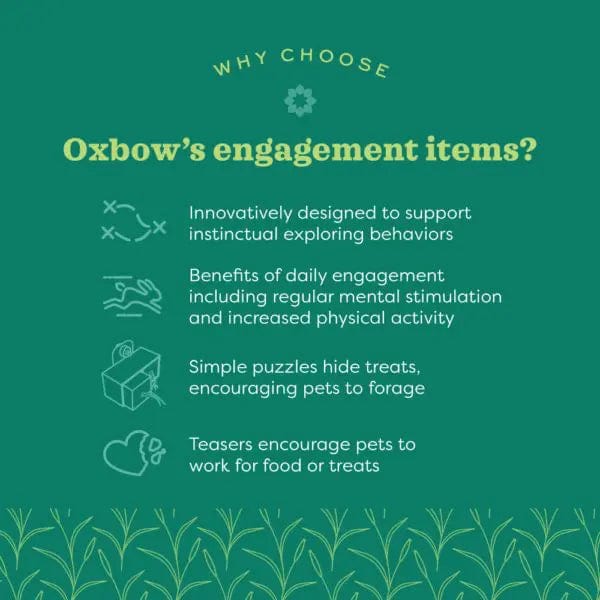 Oxbow Enriched Life - Durable Lettuce Forage Mat for Small Pets
