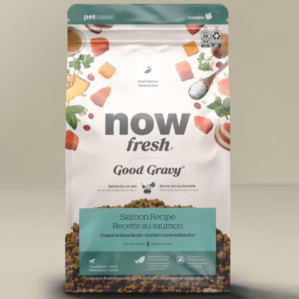 Now Fresh Small Breed Adult Dry Dog Food - Good Gravy Salmon Recipe