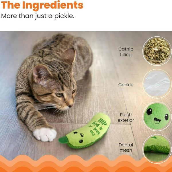 Petstages Interactive Crunchy Pickle Cat Toy with Premium Catnip