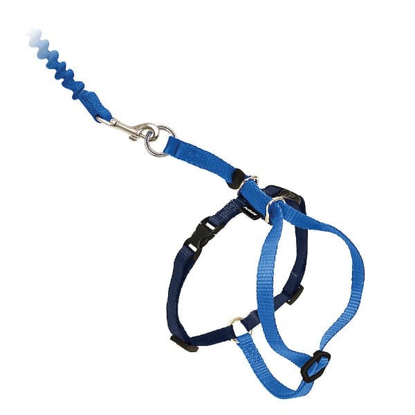 PetSafe Come With Me Cat Harness and Bungee Leash - An Ideal Walking Gear for Felines