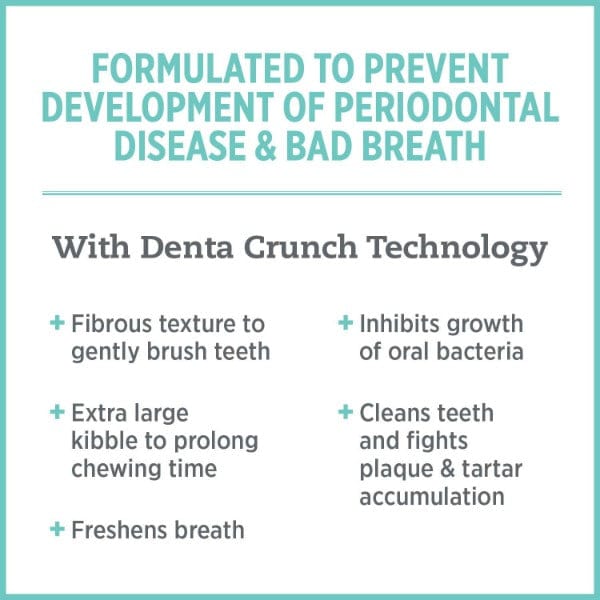 Nutrience Care+ Premium Oral Health Dry Cat Food for Optimal Dental Care