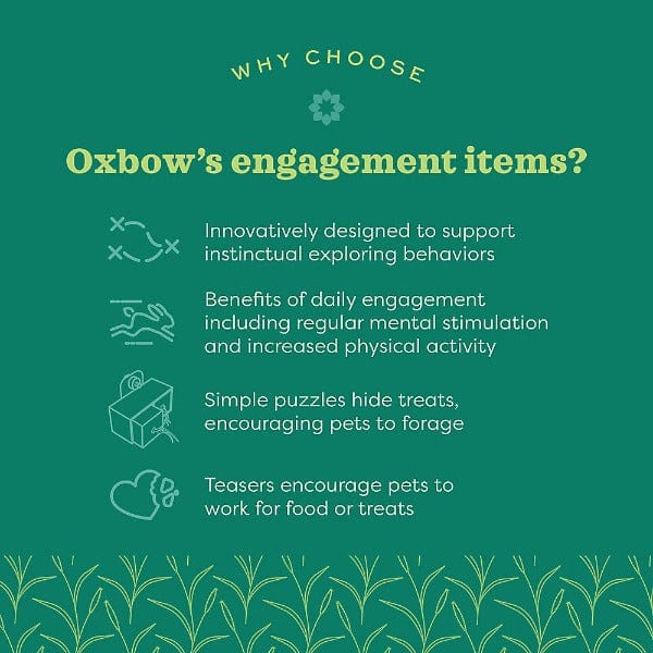 Oxbow Enriched Life Bamboo Play Pouch - A Pet - Enriching Toy for Small Animals