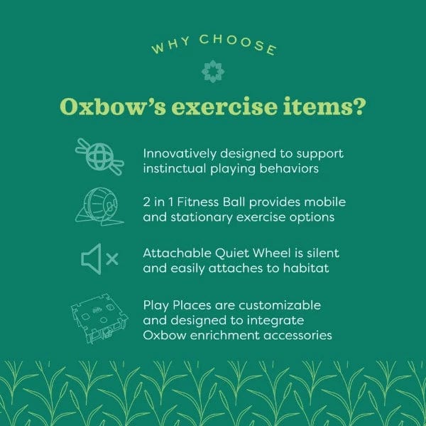 Oxbow Enriched Life - Run, Hide and Enjoy Safe Pet Fun