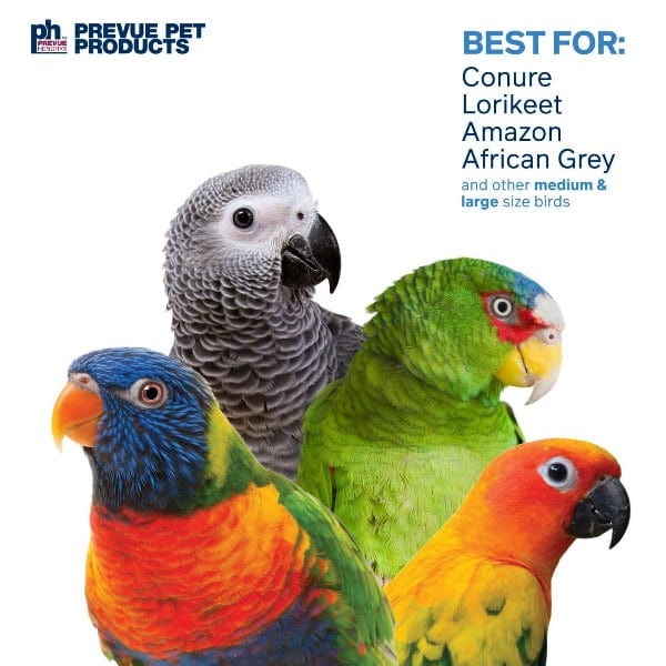 Prevue Pet Products Naturals™ All - in - One Sound and Movement Block Rock Toy for Medium to Large Birds