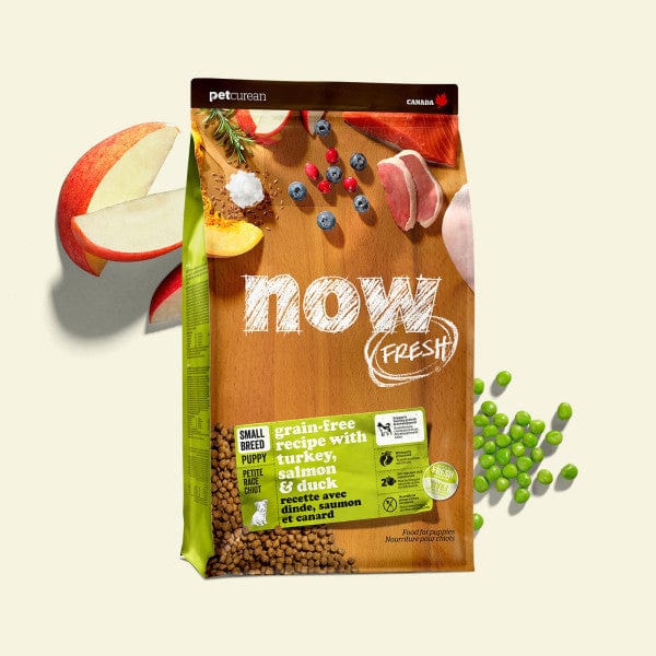 Now Fresh Small Breed Puppy Dry Dog Food with Turkey, Salmon & Duck
