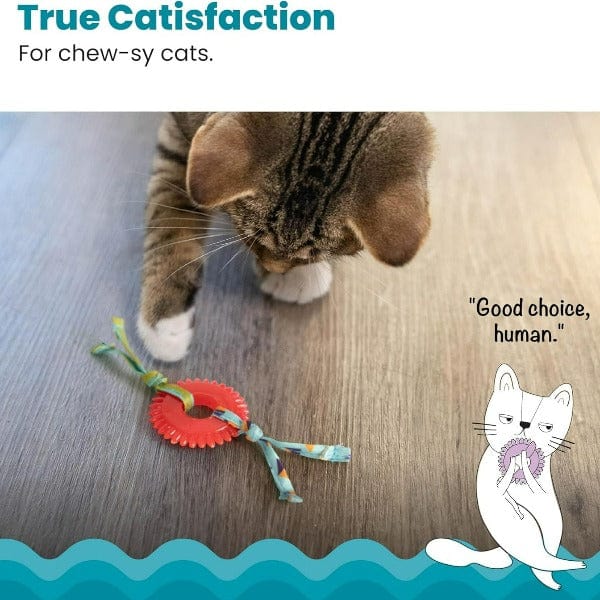 Petstages Interactive Dental Kitty Chew Wheel Cat Toy for Chewing Enthusiast Felines