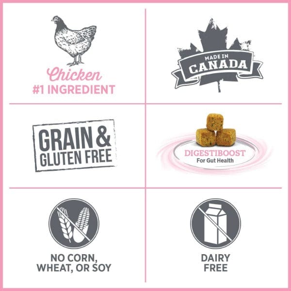 Nutrience Care+ Premium Dry Cat Food for Optimal Urinary Health